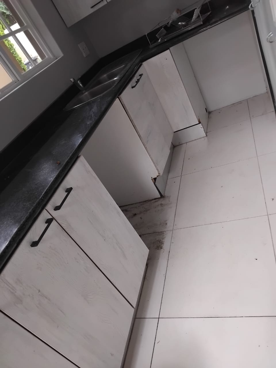 Clean Kitchen